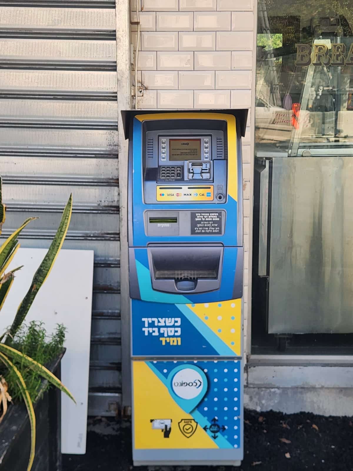 עמית זולקוביץ 6